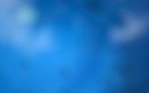 生态系统